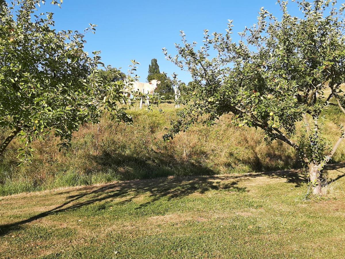 La Demeure De Bysance Villa Mezieres-sous-Lavardin Luaran gambar