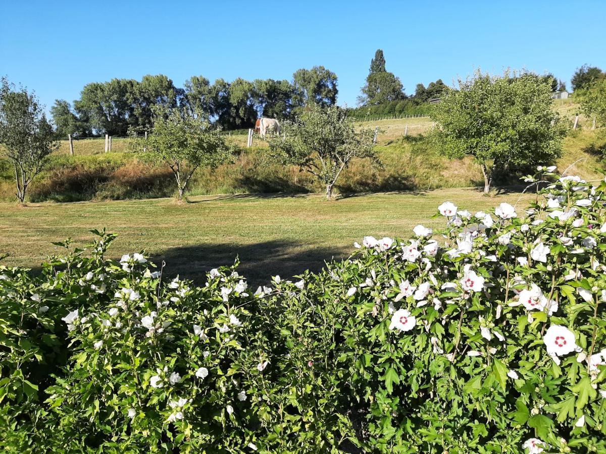 La Demeure De Bysance Villa Mezieres-sous-Lavardin Luaran gambar