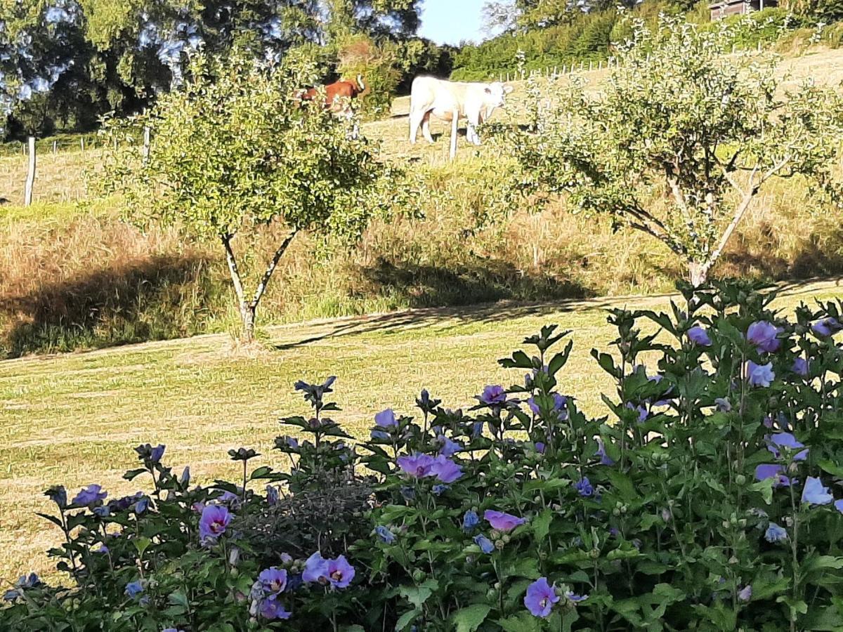 La Demeure De Bysance Villa Mezieres-sous-Lavardin Luaran gambar